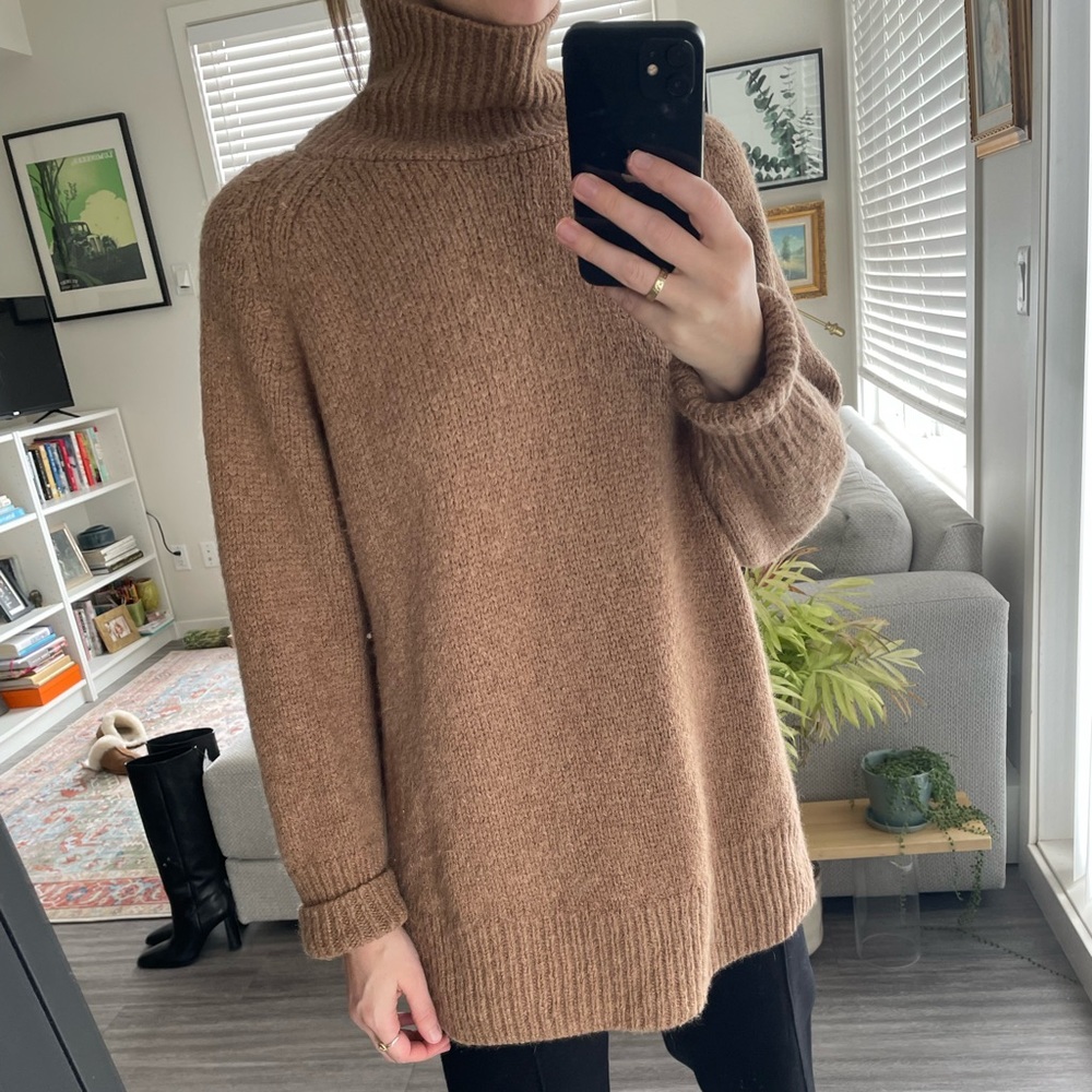 Aritzia 100% Alpaca knit turtleneck sweater
